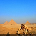 埃及110917.jpg
