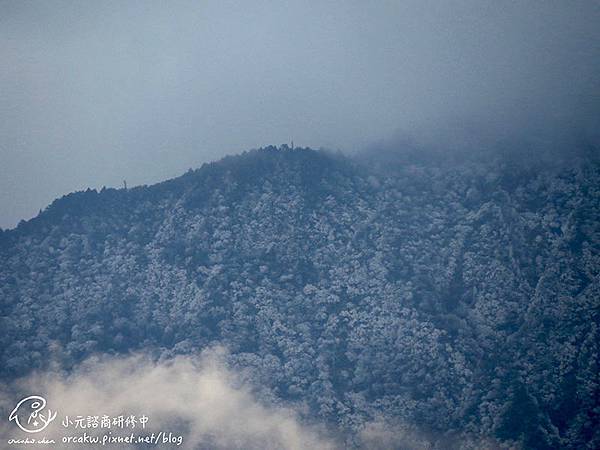 20180113_淞.jpg 20180113_淞.jpg