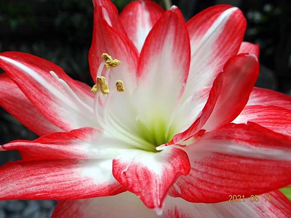 E6383314-85D3-4C28-9984-904CE22B85CD.jpeg E6383314-85D3-4C28-9984-904CE22B85CD.jpeg