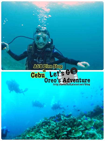 【宿霧】麥克坦島-難忘的回憶-A&B DIVE SHOP考潛水執照