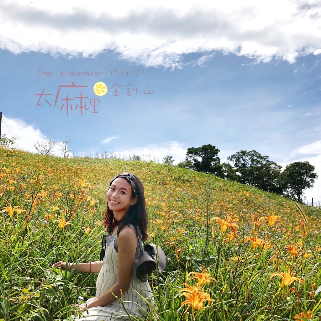【台東】太麻里金針山「環山雅築」美不勝收,實如其名-行程篇