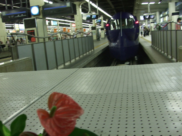 大阪關西機場的Rapi.T列車 大阪關西機場的Rapi.T列車