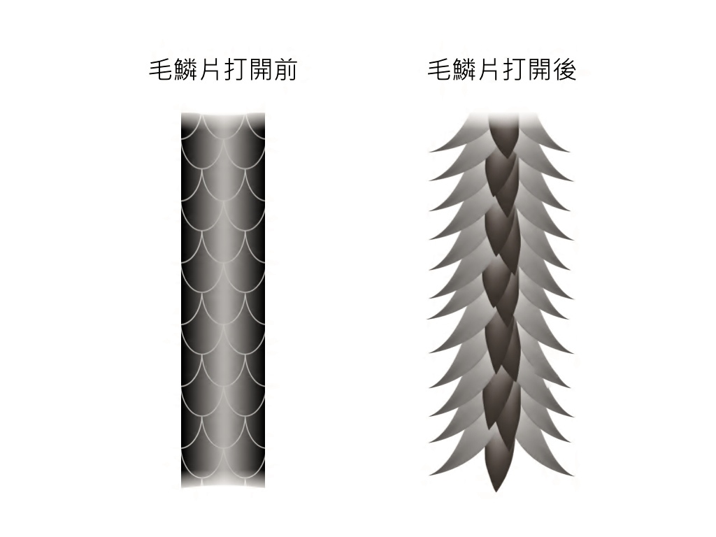頭髮保養 瞭解護髮的重要性 O Right 歐萊德 官方部落格 痞客邦