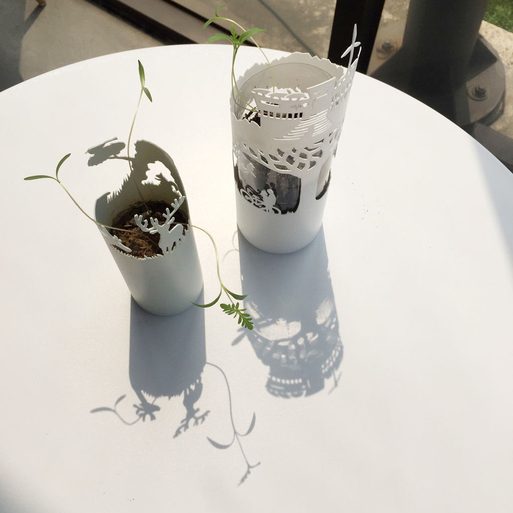 歐萊德植物栽種比賽 歐萊德植物栽種比賽