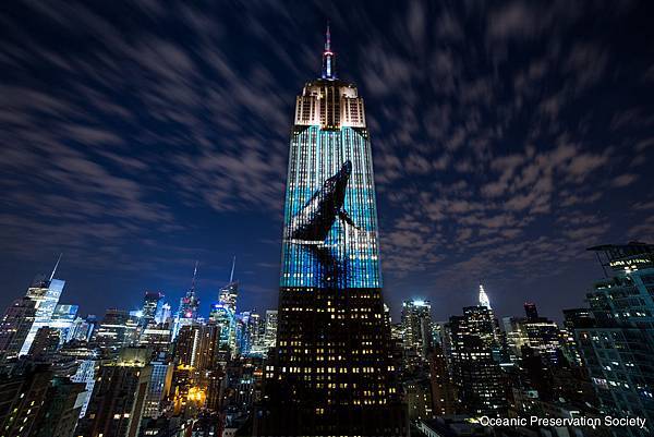 Empire State NY_ Whale _credit OPS.jpg