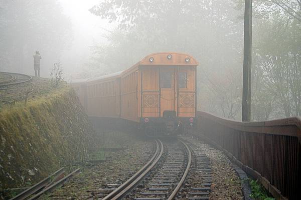 alishan_day1-DSC_0563