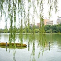 上野公園不忍池.JPG