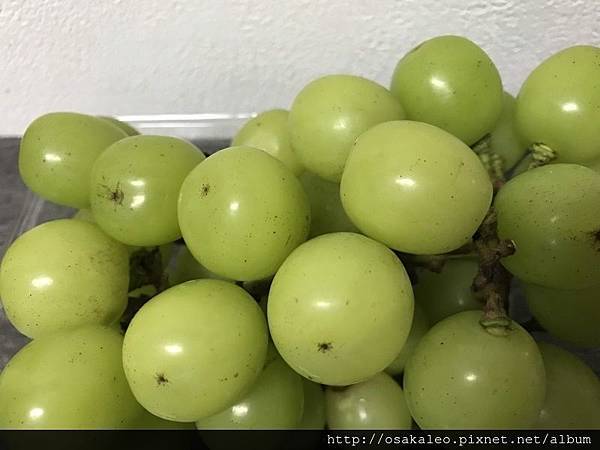 IMG_1567.JPG IMG_1567.JPG