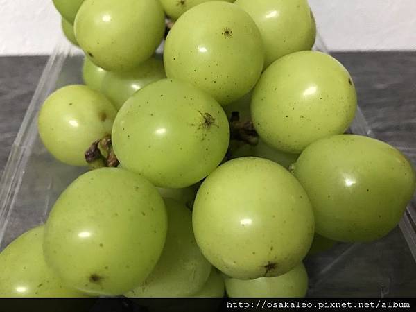 IMG_1569.JPG IMG_1569.JPG