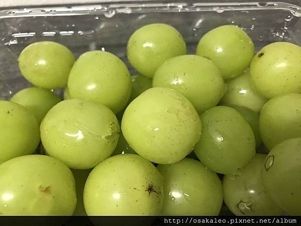 IMG_1576.JPG IMG_1576.JPG