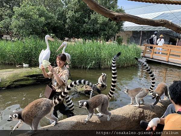 19夏關西d15 4 神戶動物王國 旅遊美食筆記 痞客邦