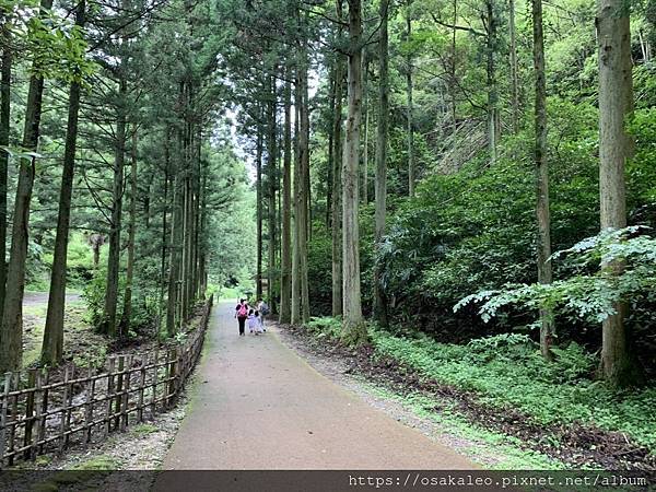 2019夏關西D9.2 世界遺產 石見銀山﹝島根縣﹞--石見