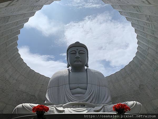 头大佛 真驹内滝野灵园 安藤忠雄大师作品