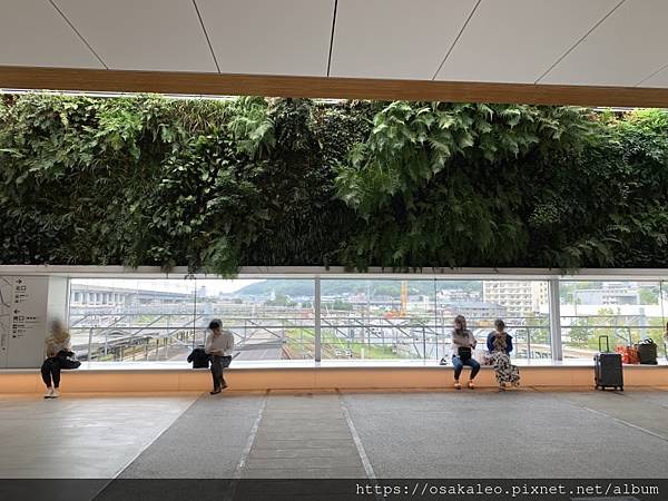 19夏日本d8 7 新山口站 新干线樱花号 冈山站 皮皮旅行 19夏日本d8 7 新山口站 新干线樱花号 冈山站 皮皮旅行