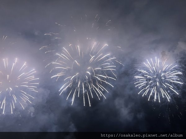 [閒聊] 高雄 國慶煙火 快閃記