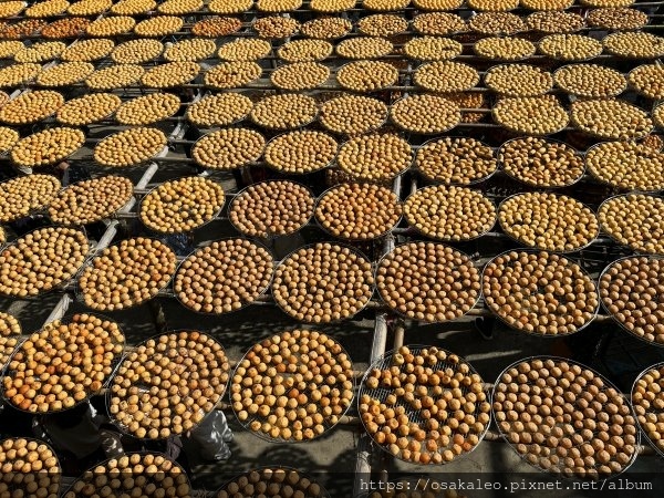 [食記] 新竹 味衛佳柿餅
