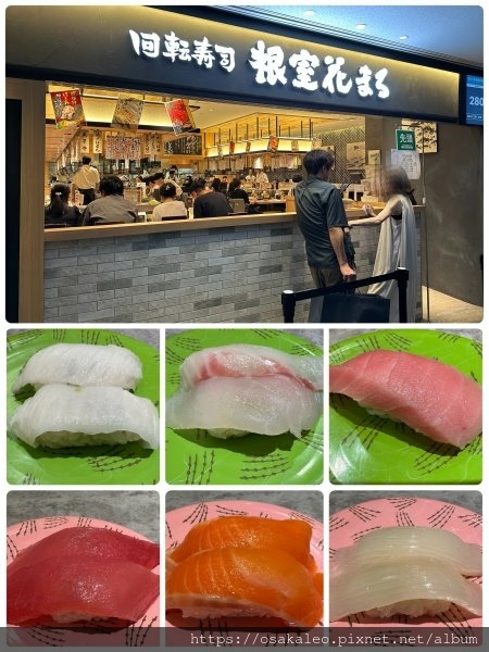 [食記] 東京 根室花丸 迴轉壽司