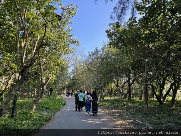 頭城濱海森林公園 八角塔