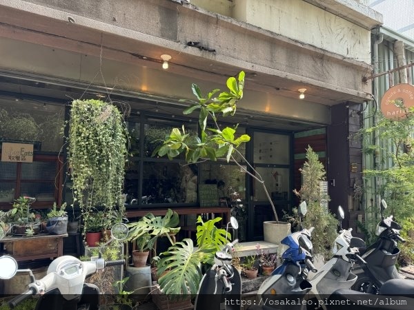 [食遊] 西區 Haritts Donuts & Coffee