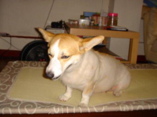 NINI5.jpg NINI5.jpg