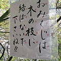 日本京都-japan-43.jpg