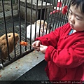 手機照片 080.jpg