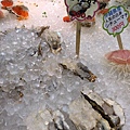 20170312_IMG_7187.JPG