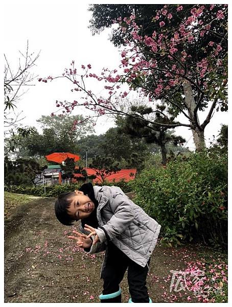 S__18202639_副本.jpg S__18202639_副本.jpg