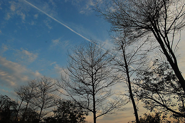 030 天空藍 藍天空.jpg