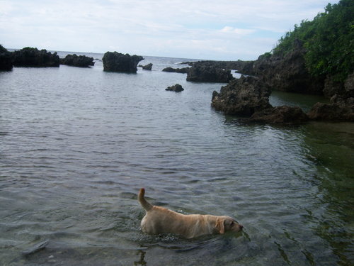 墾丁小巴里島 