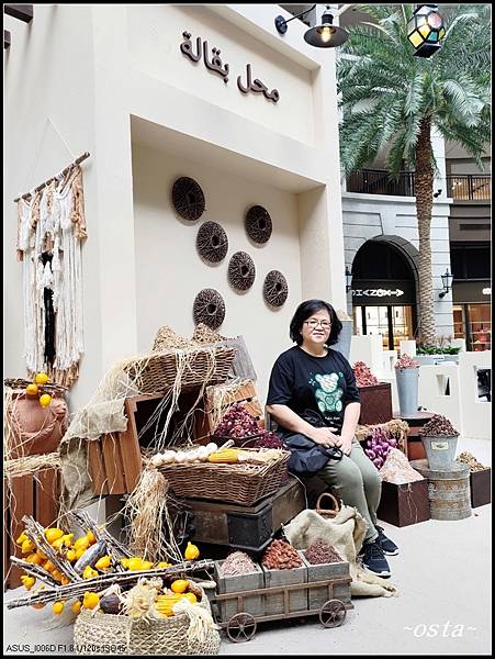 寶麗奇幻沙漠 The Fantastic Desert