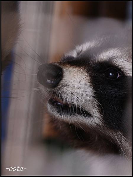 水鹿咖啡親子館(2)