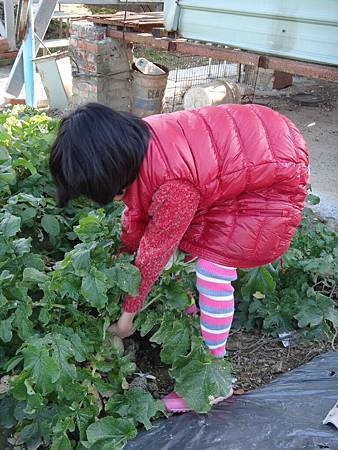 控窯2016_0208_155436AA.JPG 控窯2016_0208_155436AA.JPG