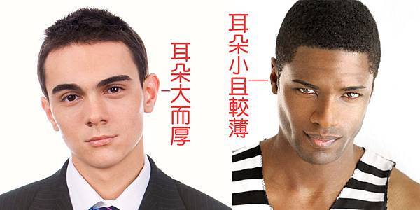 耳朵厚薄.jpg