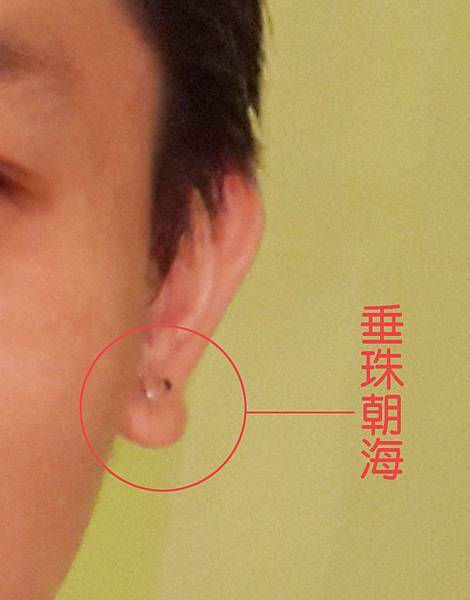 垂珠朝海 垂珠朝海