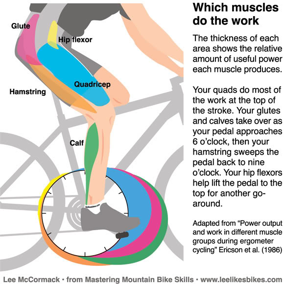 012107pedalstroke.jpg