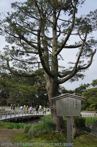 兼六園-初代姬小松