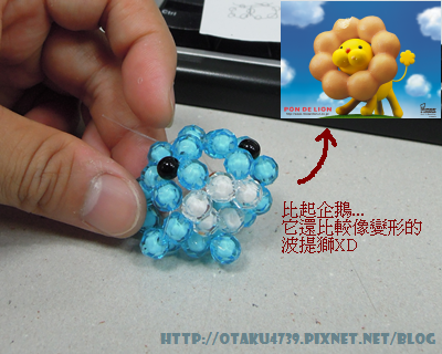 變形波提獅 變形波提獅