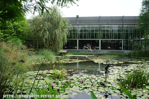 菁芳園 外觀