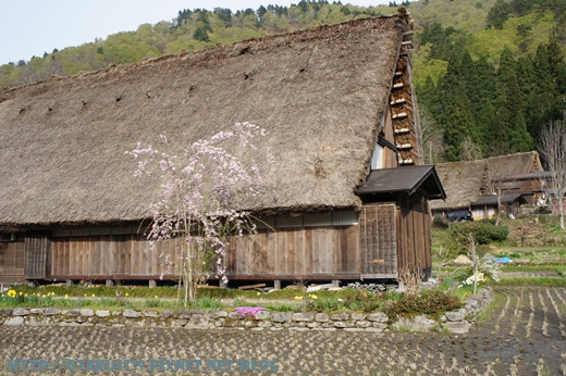 白川鄉合掌村2