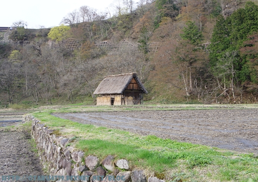 白川鄉合掌村8