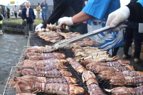 a41368b0a83c24f1c27f260a71e2281e-480x320.jpg a41368b0a83c24f1c27f260a71e2281e-480x320.jpg