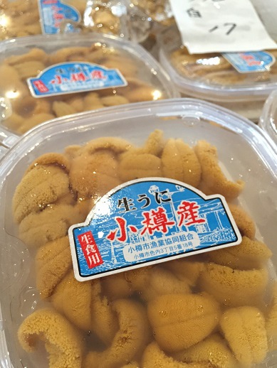 20150518_1025198.jpg 20150518_1025198.jpg