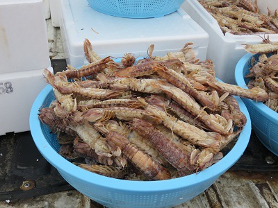 20151121_1424070.jpg 20151121_1424070.jpg