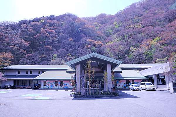 不一樣的櫻花之旅 住進磐梯熱海溫泉欣賞日本三大櫻花之一的三春瀧櫻 莊嚴神秘的紅枝垂地藏櫻 大塚太太東京在住的部落格