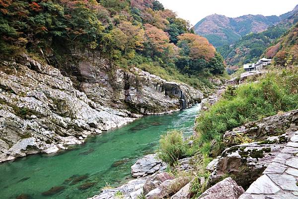 （日本四國自由行）德島經典與私房自由行最新玩法！秘境絕景、森