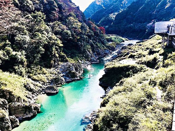 （日本四國自由行）德島經典與私房自由行最新玩法！秘境絕景、森