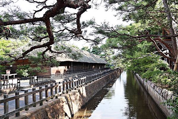 (新潟自由行)新潟市&近郊必做的十件事!從台灣直飛新潟直接遊 (新潟自由行)新潟市&近郊必做的十件事!從台灣直飛新潟直接遊