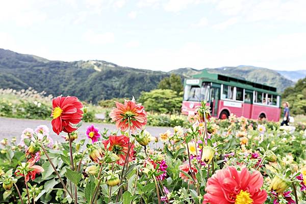 （新潟自由行）新潟湯澤四季皆好玩！夏天的森林探險、SUP、湯