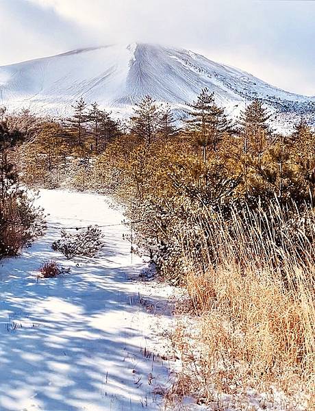 （群馬縣自由行）在日本最靠近星空的「萬座溫泉」＆愛妻聖地「嬬